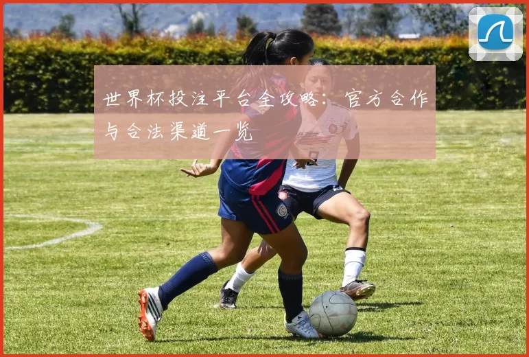世界杯投注平台全攻略：官方合作与合法渠道一览