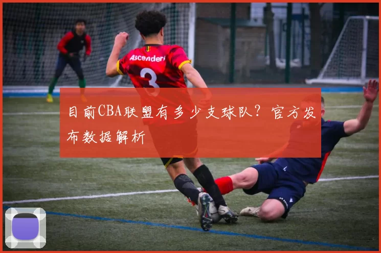 目前CBA联盟有多少支球队？官方发布数据解析