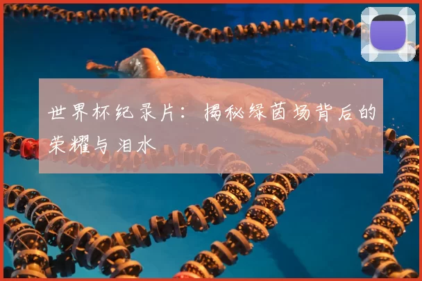 世界杯纪录片:揭秘绿茵场背后的荣耀与泪水