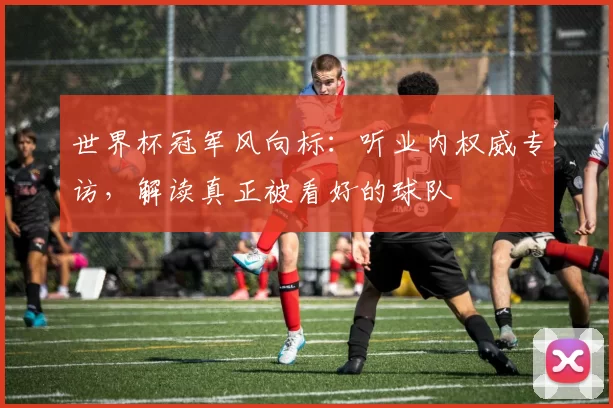 世界杯冠军风向标:听业内权威专访,解读真正被看好的球队