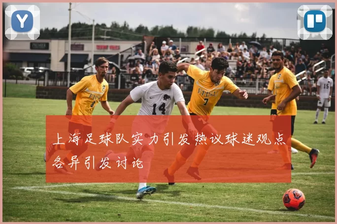上海足球队实力引发热议球迷观点各异引发讨论