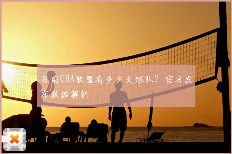 目前CBA联盟有多少支球队?官方发布数据解析