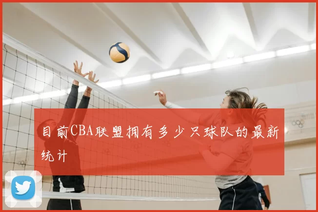 目前CBA联盟拥有多少只球队的最新统计
