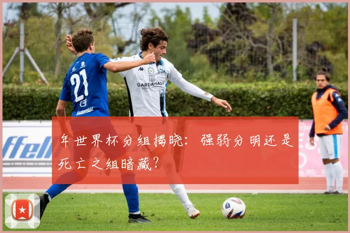 年世界杯分组揭晓：强弱分明还是死亡之组暗藏？