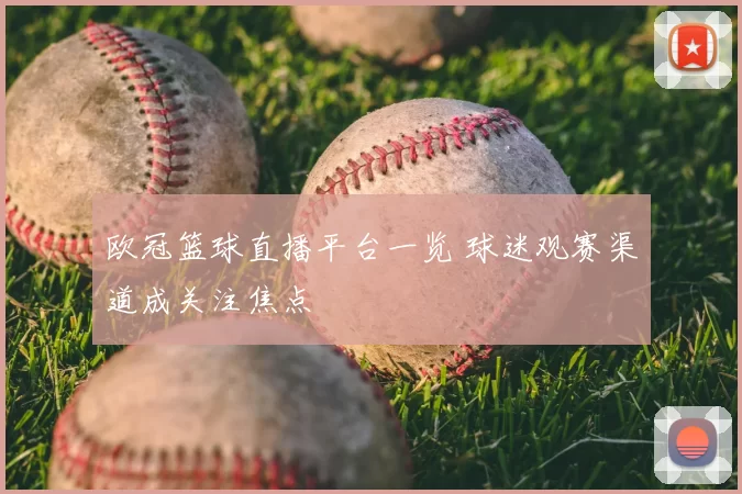 欧冠篮球直播平台一览 球迷观赛渠道成关注焦点