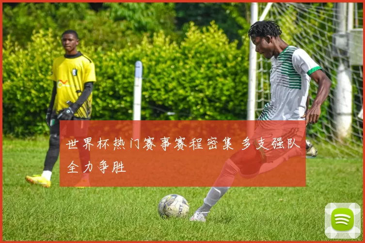 世界杯热门赛事赛程密集 多支强队全力争胜