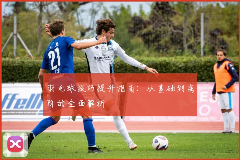 羽毛球技巧提升指南:从基础到高阶的全面解析