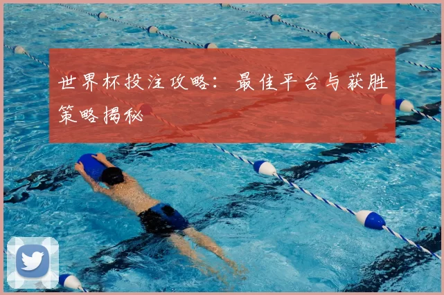 世界杯投注攻略:最佳平台与获胜策略揭秘