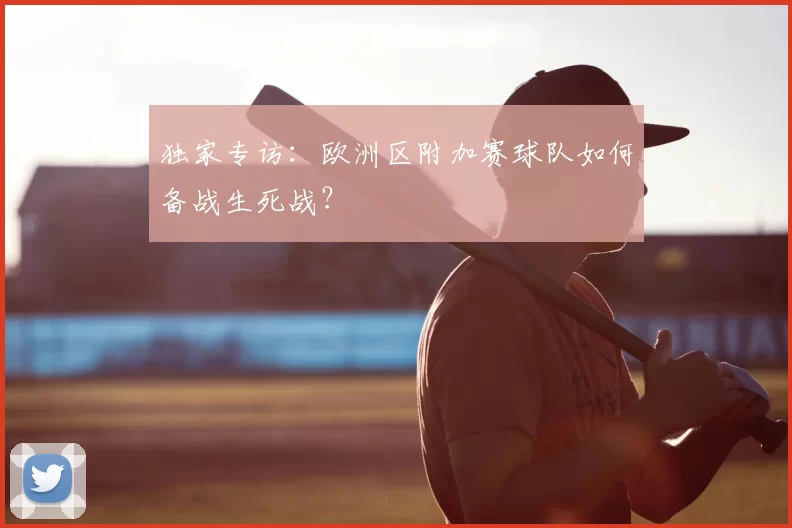 独家专访:欧洲区附加赛球队如何备战生死战?